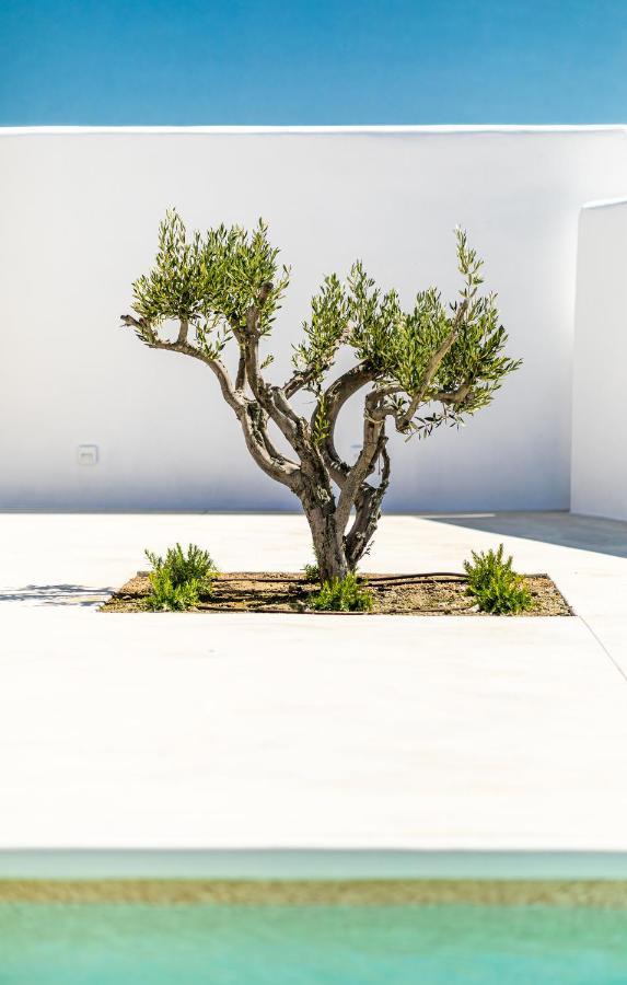 Petradia Villas Agia Anna  Exterior foto
